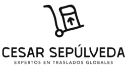 cesarsepulvedamoving.cl